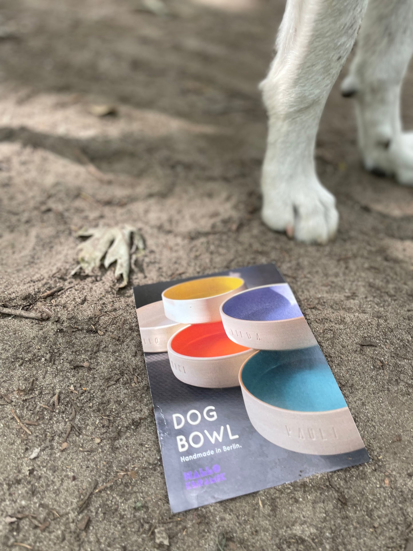 Gutschein Dog Bowl / Hundenapf M