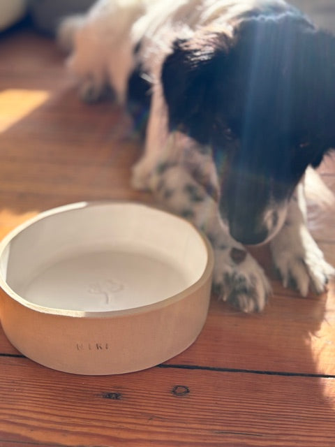 Dog Bowl Töpferkurs