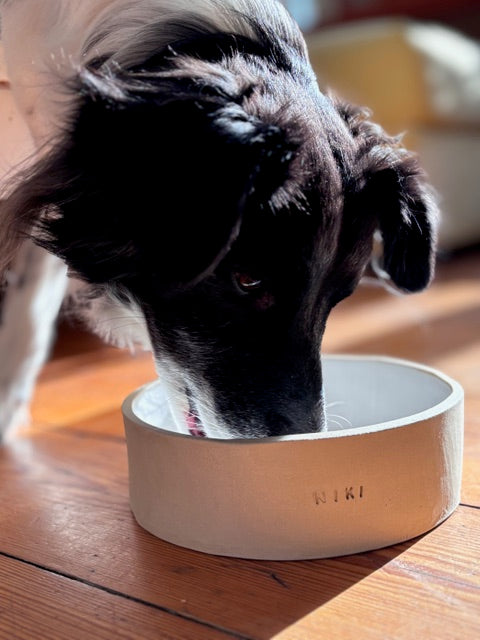 Dog Bowl Töpferkurs