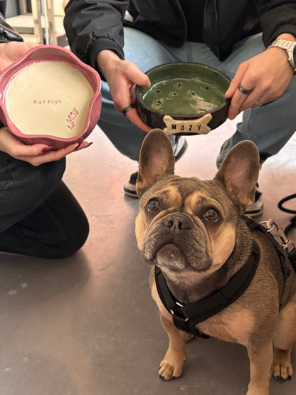 Dog Bowl / Hundenapf bemalen Kurs