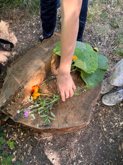 Kinder Töpfer- Sommerferienkurs